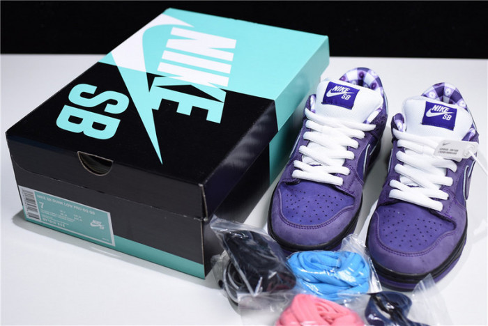 nike sb dunk low concepts purple lobster bv1310-555