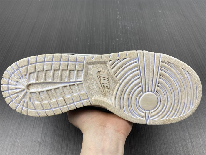 nike dunk low retro dd1503-1099