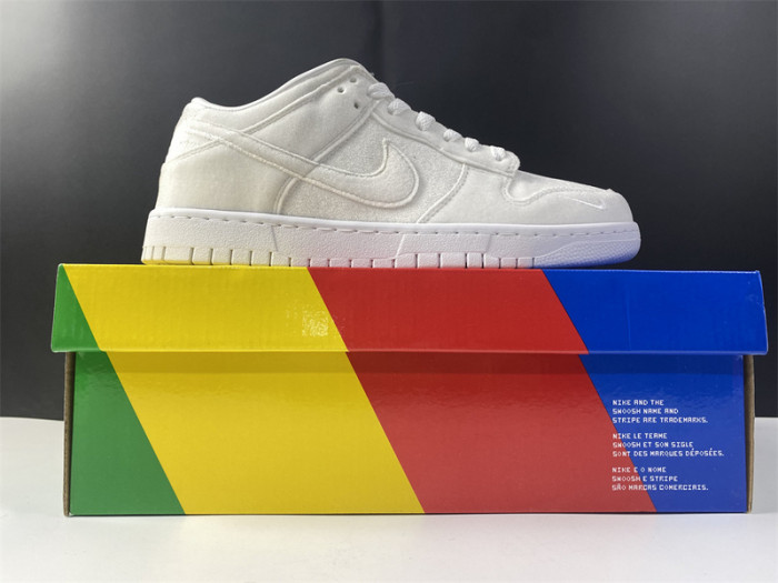 dover street market (dsm) x nike dunk low dh2686-100