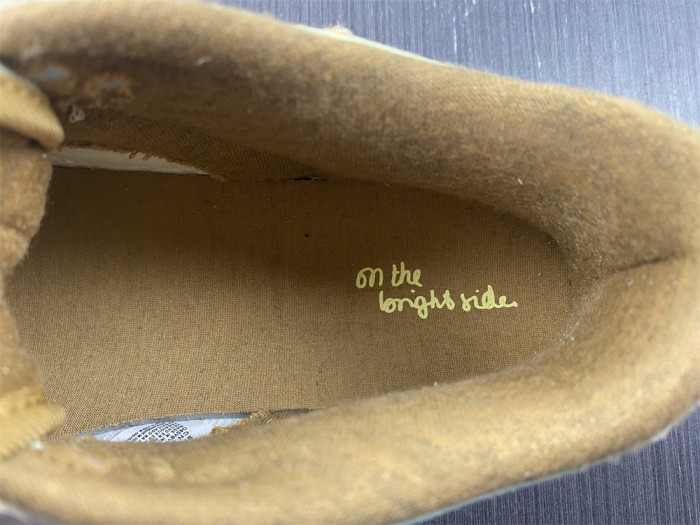 nike dunk low on the bright side dq5076-121