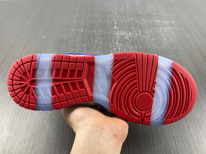 ebay x nike sb dunk low “sandy bodecker” fd8777-100