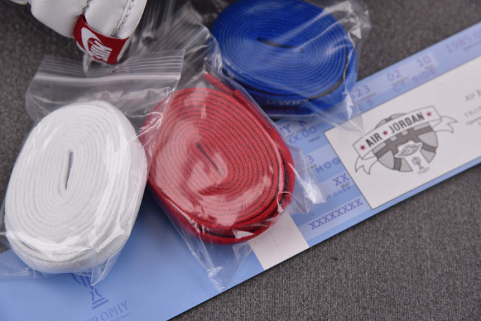 air jordan 1 low og trophy room fn0432-017